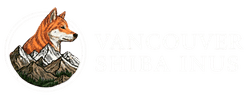 Vancouver Shiba Inus